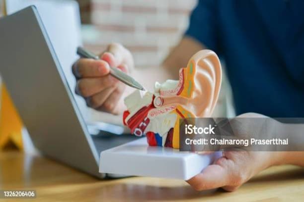 close up professional otolaryngologist explain and diagnose to patient by pointing on human ear anatomy about eardrum symptom for treatment and heal concept